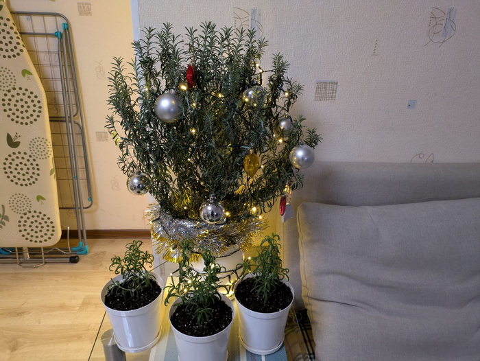 ���� ���������� ������������ ������!