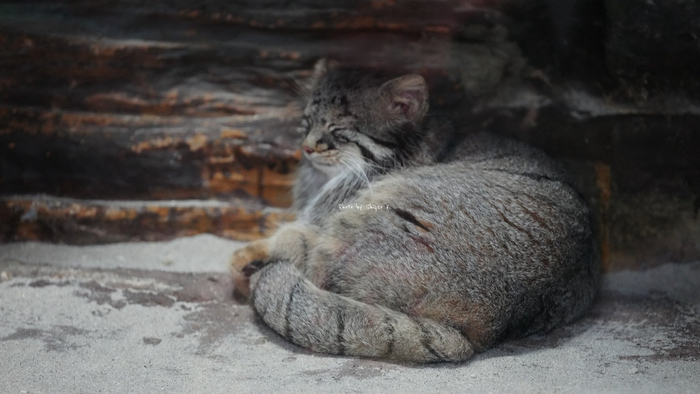 �� �� ��� ������ � ������� ������, � � ���� ��������