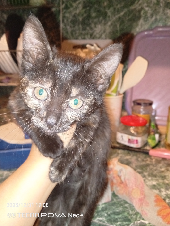 ���������