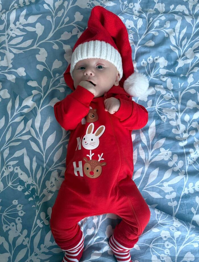 ������ ����� ���