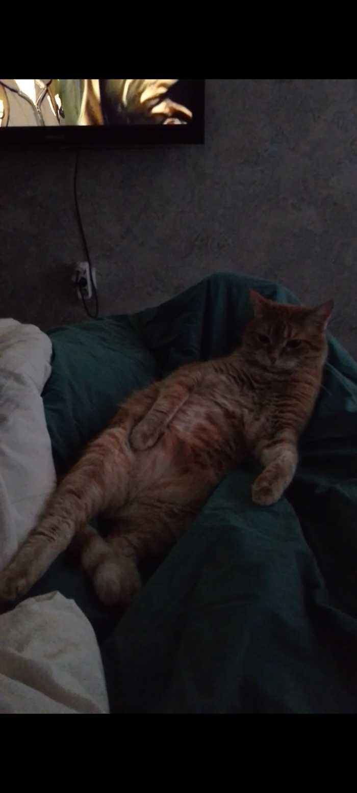 ���� ���� �����������