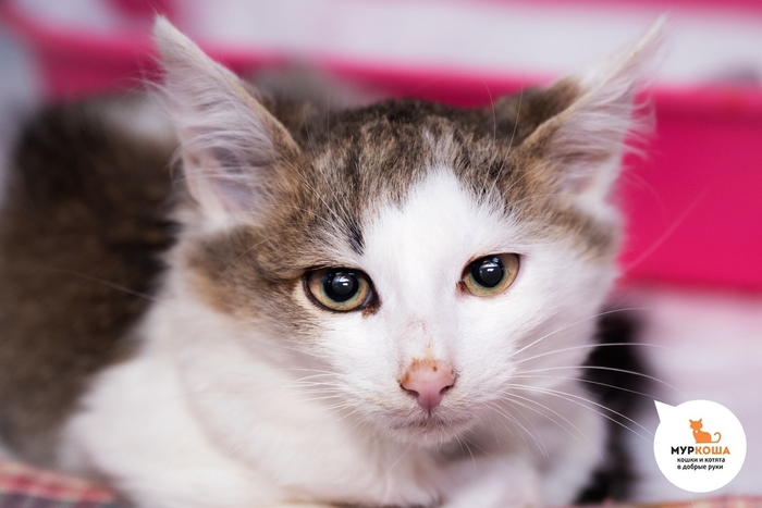 ������-������� ����� ����� �� ������ ����� 26 ������ 2025 ����.