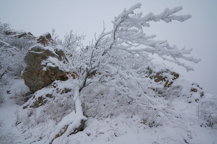 ���� ��������� , ���������� 