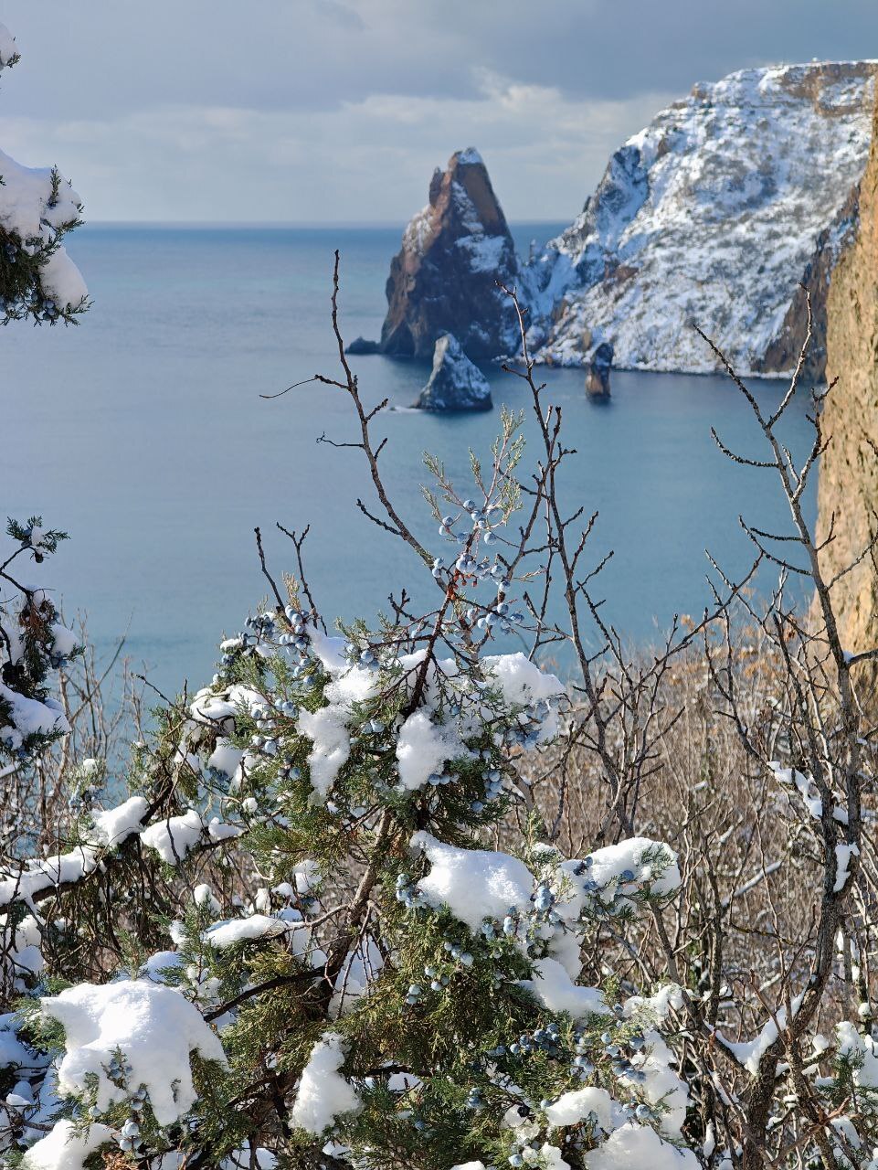 Snowy New Year's Fiolent - Crimea, Sevastopol, Cape Fiolent, Snow