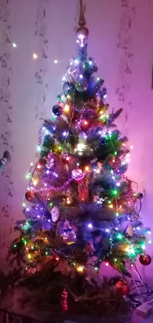 �� ���� ��� 3-� ����� ��� ��� ��������