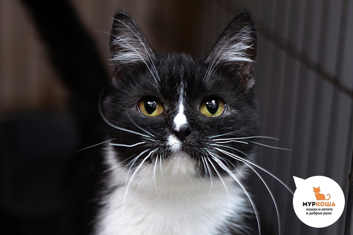 ����� ������, 3 ����, ������� �� ������������� ��������.