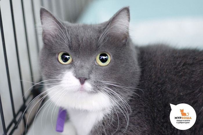 ����� �������, 8 ���, ������� �� �����. �������������� ���. �������������� ������������ �������� ��� � ����� � �������-���������� ���. �������� ��������, ��� ��� �� ������ ��� �������� � �������� ������ ����� � �� ��������� ��.