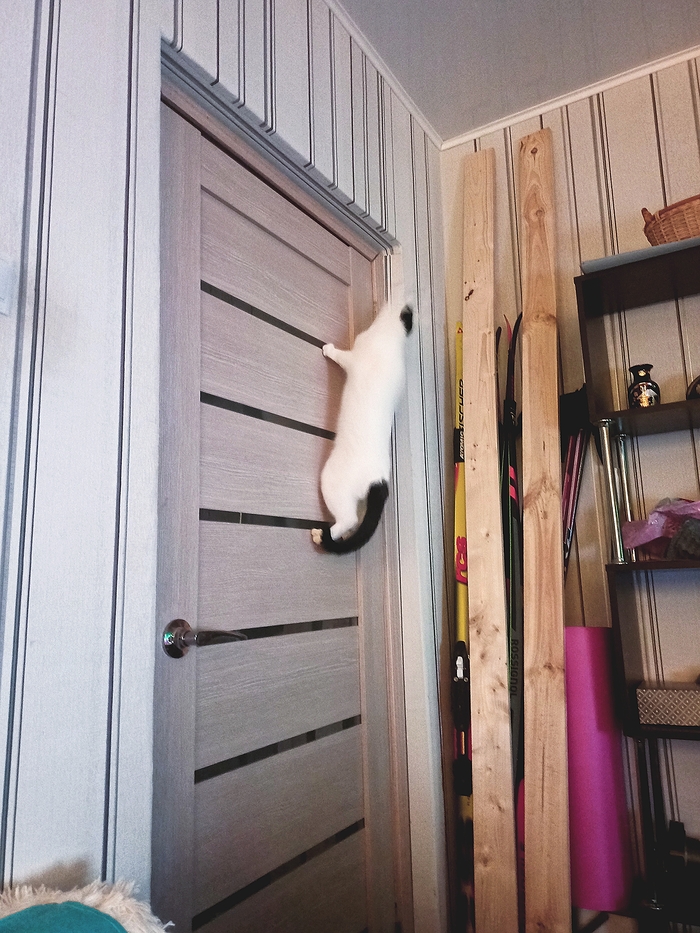 ������� �������. ������� ������