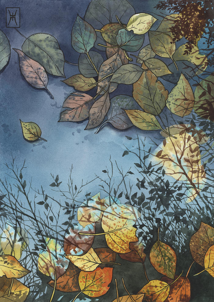 ��������, ��������� ������, ������.