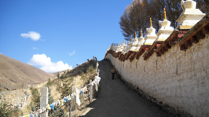 ������� ������ ������