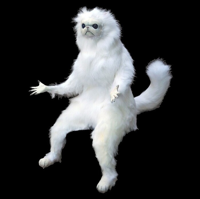 Да как так-то?