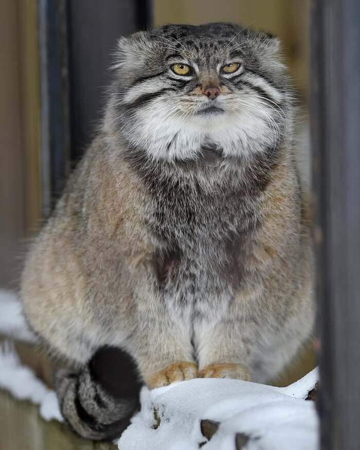 ����� �����. ����� ������