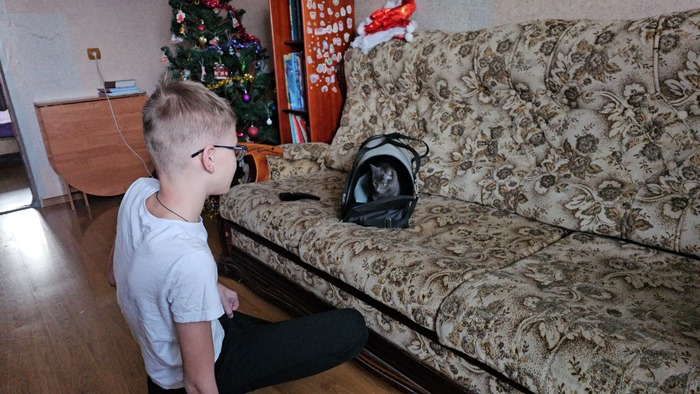 ����� ���� ������ ��������.