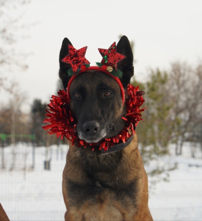 ���������� �������