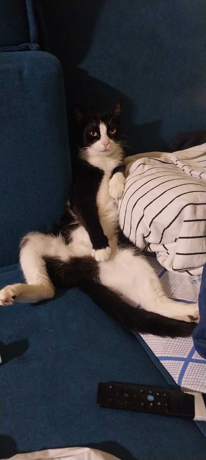 ��� ����