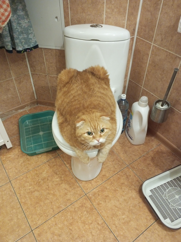 ��� ������ ��� �� ������� �������