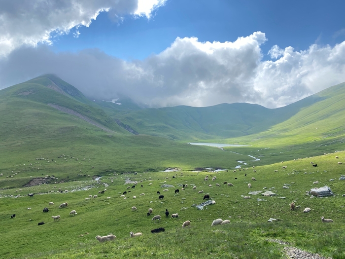 �� ���� ������� ����� �������