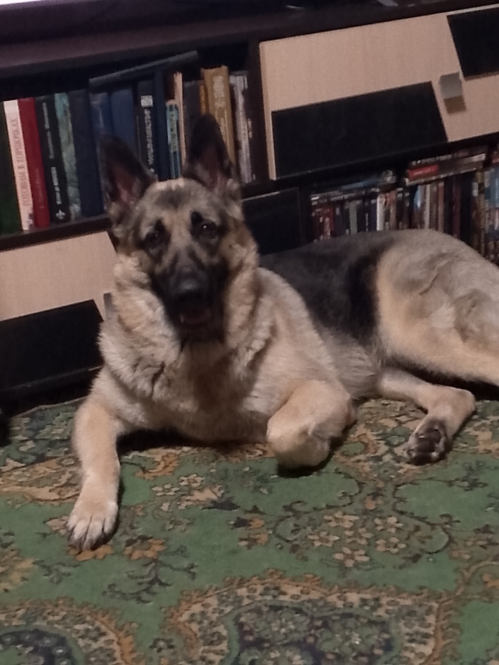 ����� �����