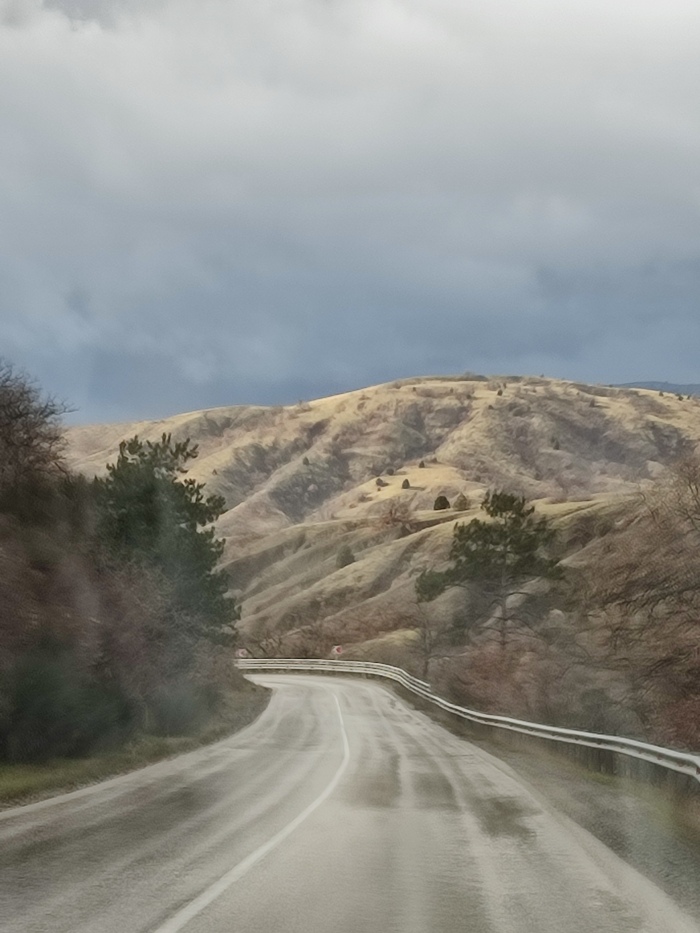 ����. ����� 2026 ���