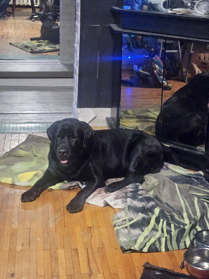 ���� ������ ������!