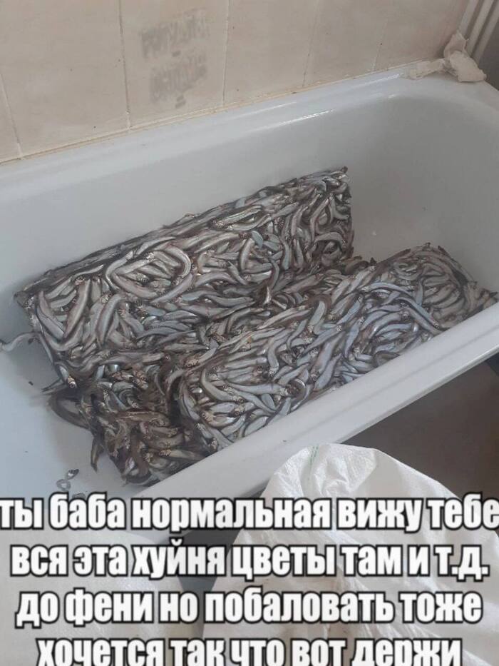 � ��� ��� ���������� �������� �� ����� ���?