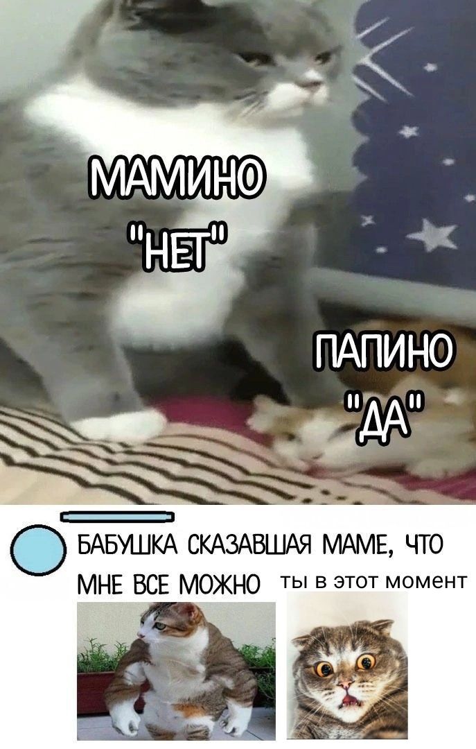 ��������� ����