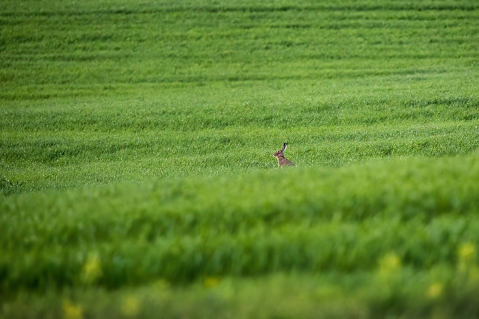 ������ � ������� ������