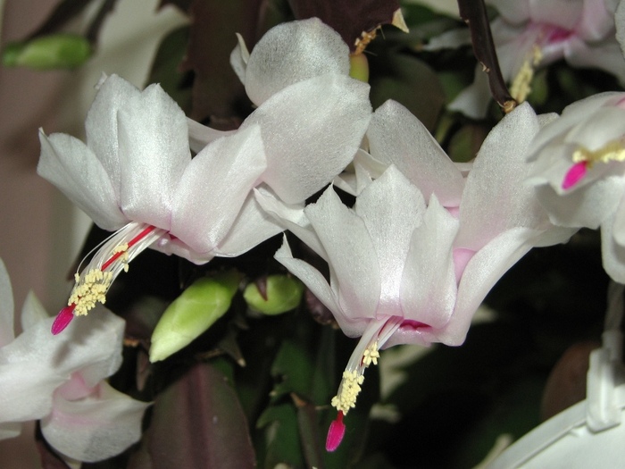 ����������� ���������. ���� �. ������� � ����� <!--noindex--><a href="https://pikabu.ru/story/dekabristyi_13566065?u=http%3A%2F%2F7dach.ru&t=7dach.ru&h=520ee5dfdadfbfebe905e76d94a85329ad84299f" title="http://7dach.ru" target="_blank" rel="nofollow noopener">7dach.ru</a><!--/noindex-->.