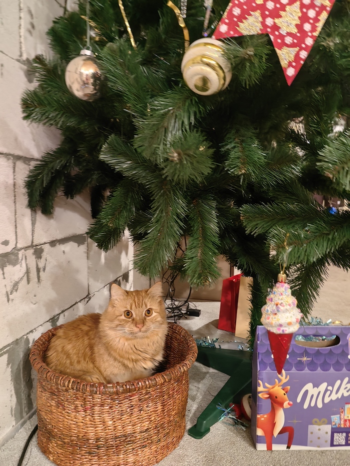 � ����� �����!