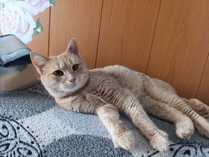 �������� ������� � ������� ������ ������ ����! ��� ���� ����� ����� ���