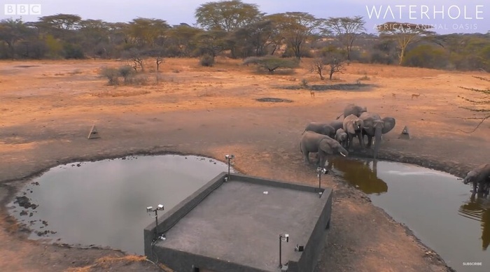 Рукотворный водопой в Танзании, национальный парк Серенгети.