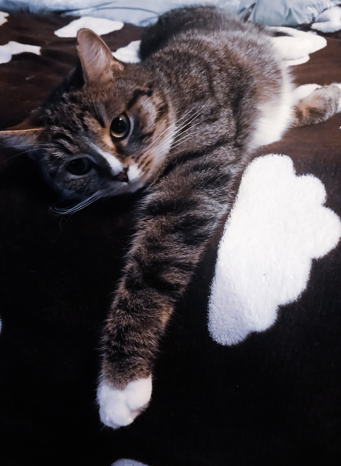 Когда каникулы всю жизнь....а не 12 дней...