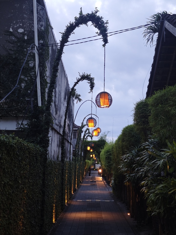 ������ ������