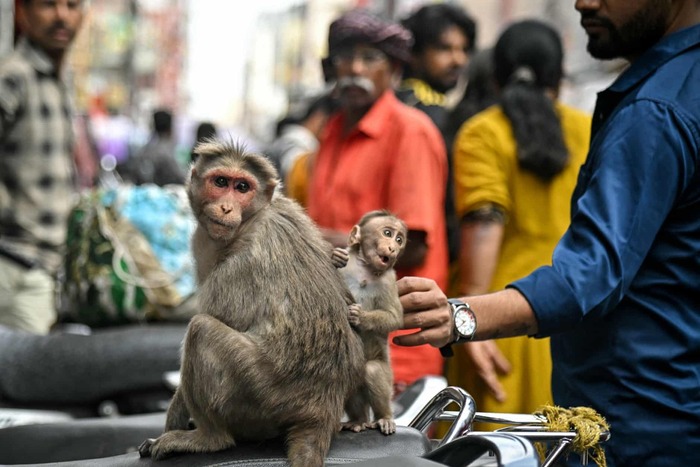 ��������, �����. �� ����� ������ �������� � � ������ ����� �� ���������. ����������: ����� ��������.