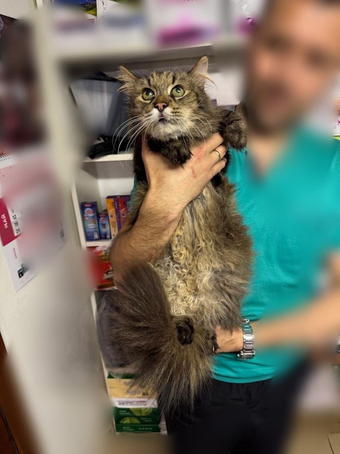 ����� ������! ����� ���� ��� ���! �����-���������