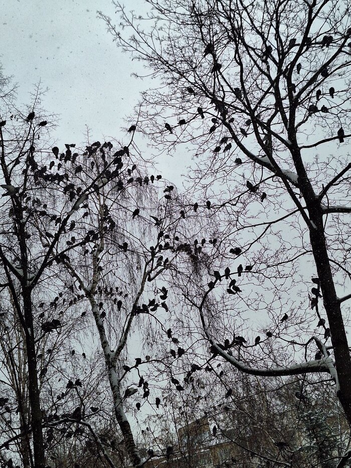 � ���������� ��� ���