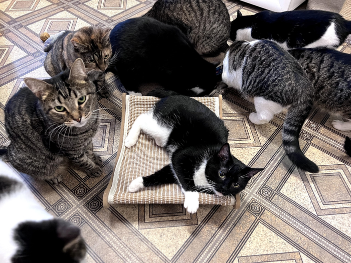 ����� - ������� ������ ����� ������!