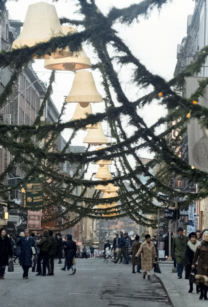 ��������: ���� ����������