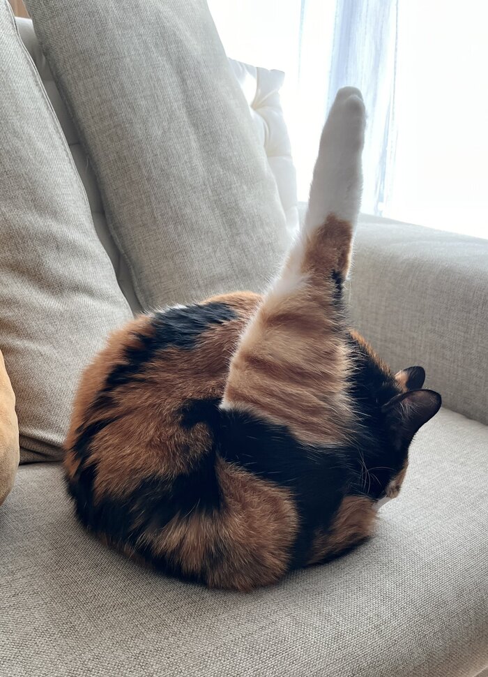 Элегантное Па