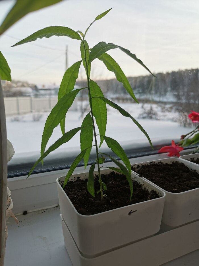 4 ������ 2026