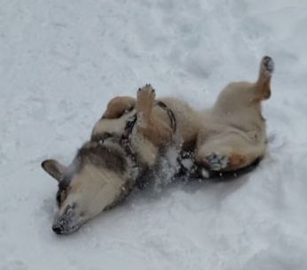 ���� � �������