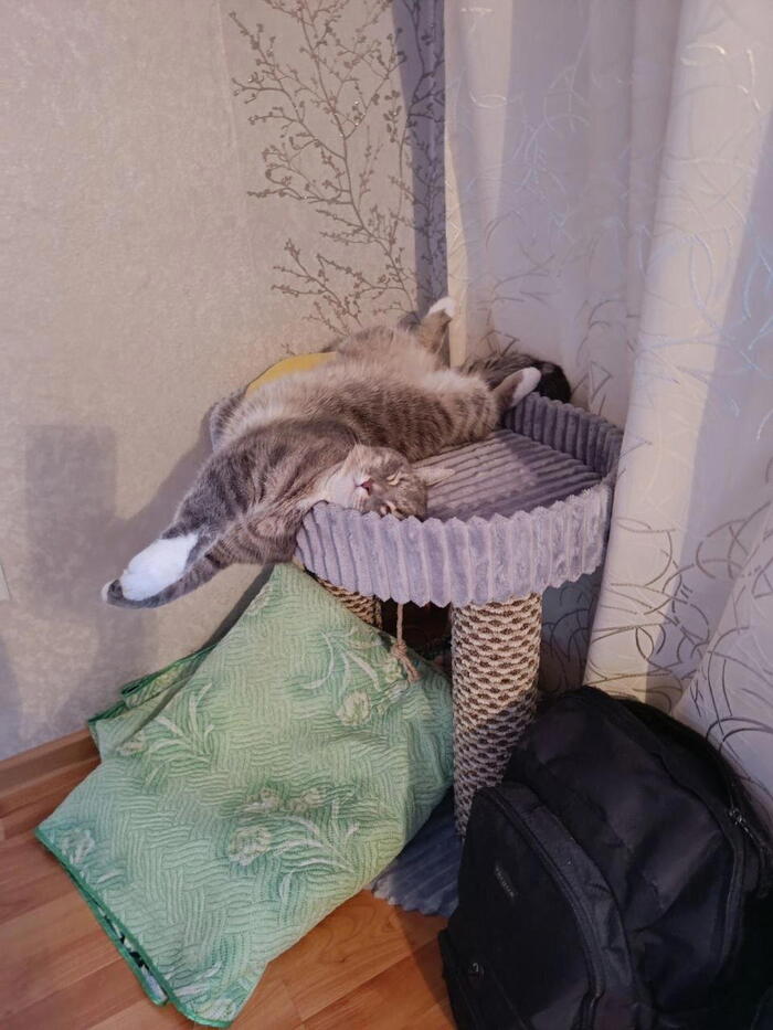 ������ ��� ��� ������