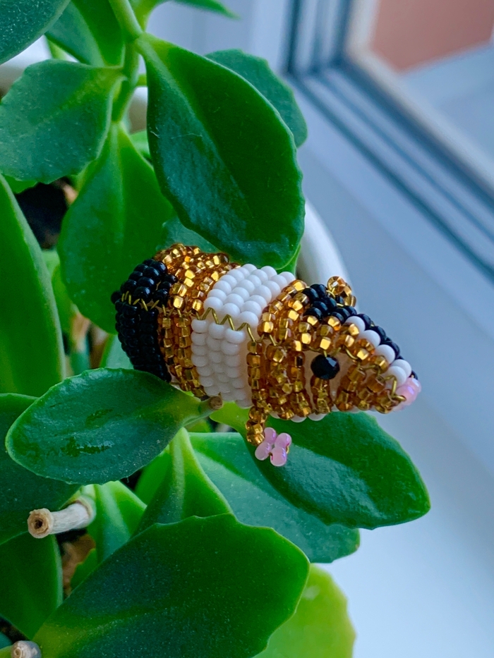 ������ ������� ������ �� ����� ���������, � ��� �����?))