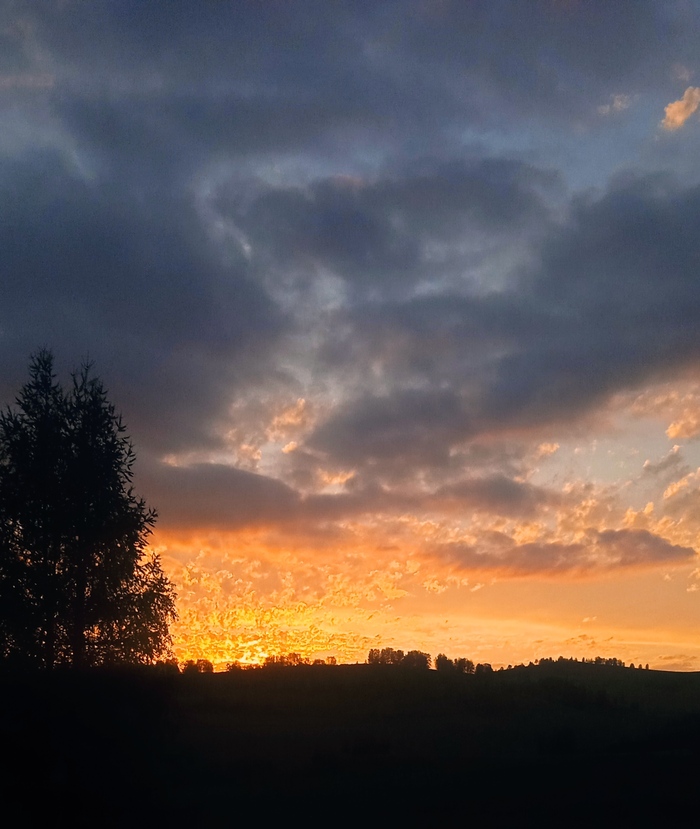 "Деревня: инструкция по применению" #5 Ах, лето, цвета...