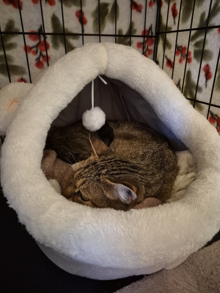 ����� ����, �� ������ �� ��������