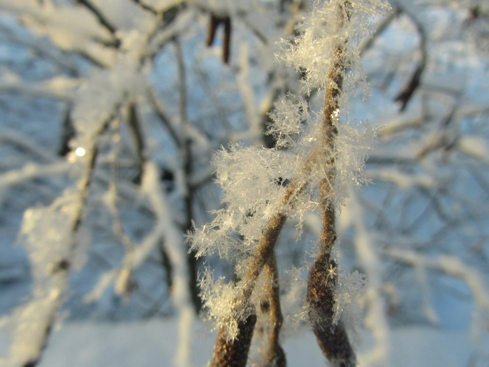 ����� � ������