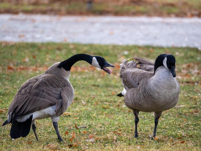 ��� �� ������ ��� ���������, �������?!