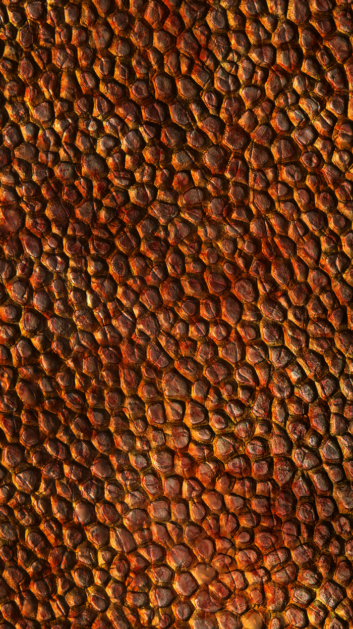  ������ (����������)