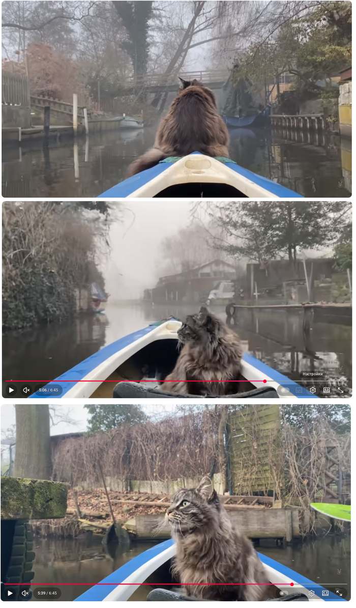 ������ �� ���� � �����-��!