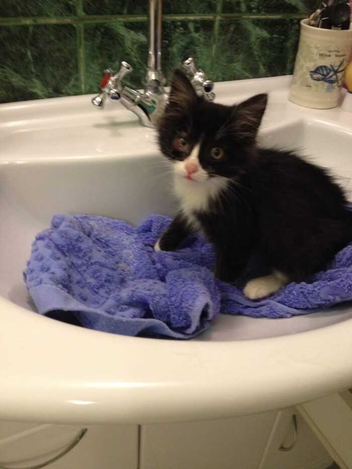 � ����� �� ��� ������ �� ����� � ������� 2016 ����.